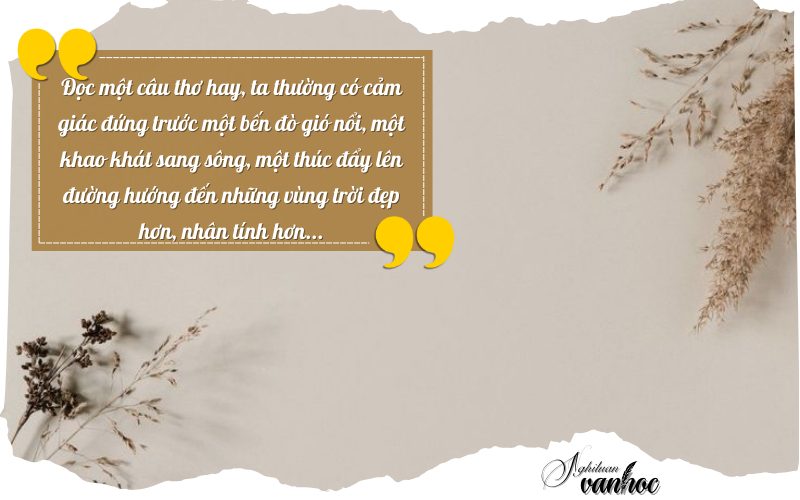 NLVH về chủ đề: Đọc một câu thơ hay, ta thường có cảm giác đứng trước một bến đò gió nổi, một khao khát sang sông, một thúc đẩy lên đường hướng đến những vùng trời đẹp hơn...